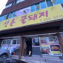산촌꿀돼지 이미지