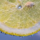 팜 휘트니스 이미지