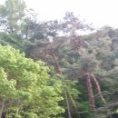 백락산방 이미지