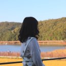 용산 미용실 - 박승철헤어스투디오 용산점 | 초코브라운 미디움레이어드컷 가을맞이 변신 🧸