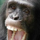 몰래 사랑하다 들켰넹 이미지