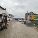 동일장 | 강릉 입암동 동일장칼국수 웨이팅 솔직 후기(들깨칼국수, 맑은칼국수, 군만두)