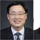정정미