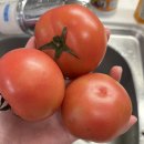 부전농수산물새벽시장 이미지