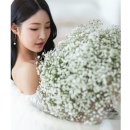 몬드스튜디오 이미지