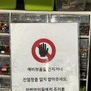 카페브리커 | 원주명륜동카페 오순도순 레고블록을 만들 수 있는 이색카페 브리커 방문후기