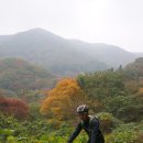 청량산 임도1 Daum카페