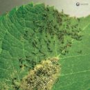 최고농약사 이미지