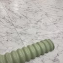 SNPE척추운동 이미지