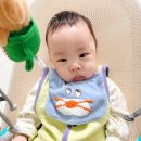 스튜디오9 | 아프리콧스튜디오 블랙프라이데이 쇼핑 후기 (총 9개)