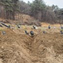 달나무농장 이미지