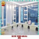 수원-0879 | 초읍동 애견카페 멍플 애견 유치원 호텔 놀이터 미용 운영시간 및 방문 정보와 가격까지 한번에 알아봐요