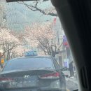 히요네일 이미지