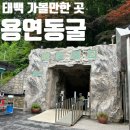 용연동굴 | 강원도 가볼만한곳 태백 용연동굴