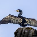 안테나짐 이미지