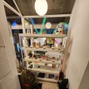 마우스레빗★내돈내산 이용한 솔직후기:)★건대입구역 카페 mouse rabbit