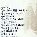 오!해피데이