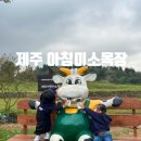 데일리목장 | 제주 아침미소목장 동물먹이주기체험 제주동쪽 아기랑 가볼만한곳