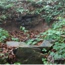 완도수목원 가로수길 이미지