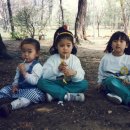 샬롬유치원 이미지