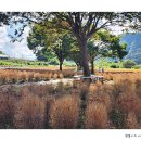 도담행복마을 이미지