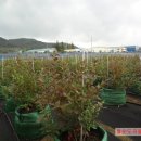 도곡농장 이미지