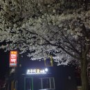 청풍민박 이미지