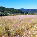 원용복마을 이미지