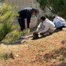 해빙데이 이미지