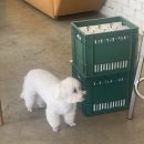 논현로7길 24 이미지