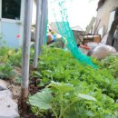 모화하우스 이미지