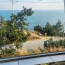 기장바다 | 기장 메르데쿠르 바다 보이는 대형 베이커리 카페 후기