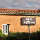 공항농장 | 청주공항 근처 카페 추천 오키나와 여행 후 힐링코스 “유송블루베리농장”