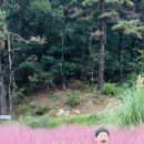 다다목장 이미지