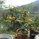 박경자농장 이미지