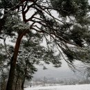 하회마을관리사무소 이미지