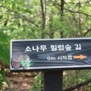 힐링숲 이미지