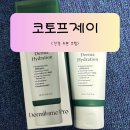 코토프제이