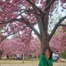 진평왕릉 화장실 이미지