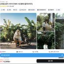 코리나투어 | 발리 웨딩스냅 추천 및 셀프웨딩스냅 내돈내산 후기(현지업체3곳 ,발리브리즈,비용)