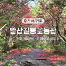 완산-5 | 전주 가볼만한 곳 나들이코스 완산칠봉꽃동산 산책데이트 5월 후기