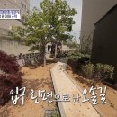 호두나무집 이미지