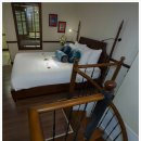 시에스타 이미지