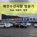 대문수산 이미지