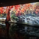 따, 숲 | 화담채 입장시간 아름다운 미디어아트 관람 화담숲 첫번째 코스 후기3