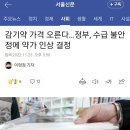 감기약 가격 오른다…정부, 수급 불안정에 약가 인상 결정 이미지