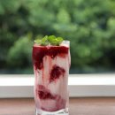 나무야 나무야 이미지