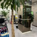 다온 스크린 골프 이미지