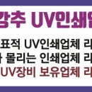 디엔피플 이미지