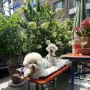 복희쌀롱 이미지